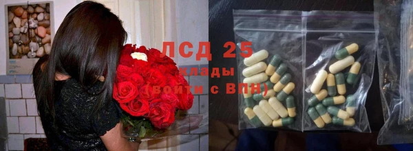 твердый Ельня