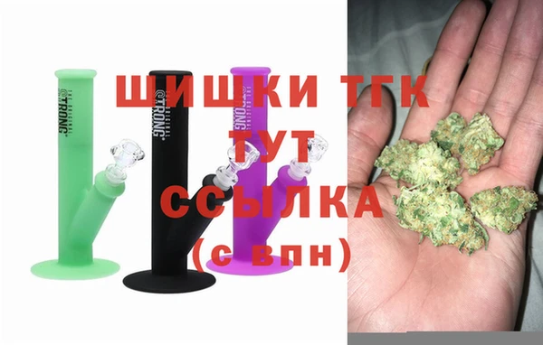 твердый Ельня