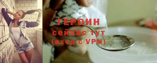 твердый Ельня