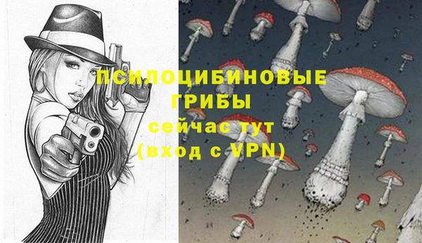 твердый Ельня