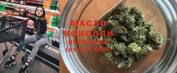 твердый Ельня