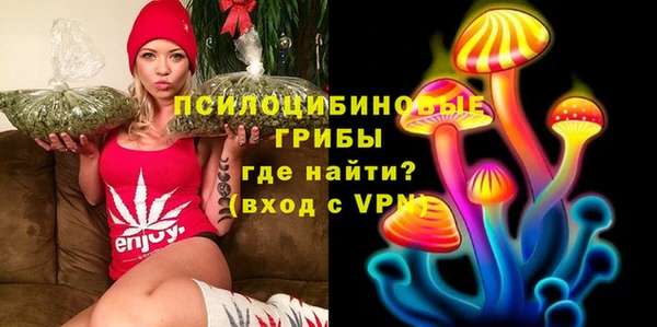 дурь Елабуга