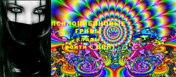 твердый Ельня
