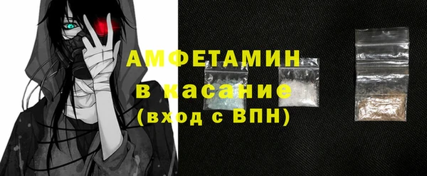твердый Ельня