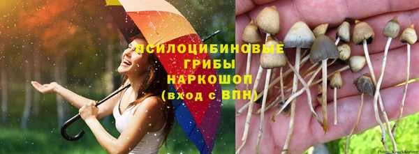 кокаин премиум Елизово