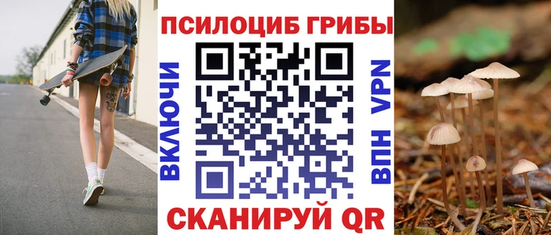 Галлюциногенные грибы MAGIC MUSHROOMS  купить наркотик  Кизел 