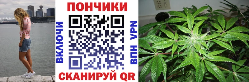 Бошки марихуана сатива  это наркотические препараты  Кизел 